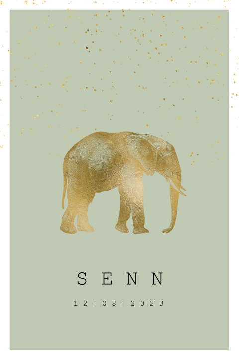 Geboortekaartje olifant in goud look
